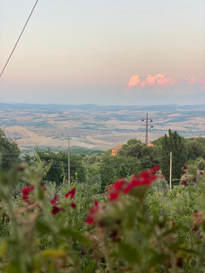 Podere Belsogno Montalcino Exterior foto